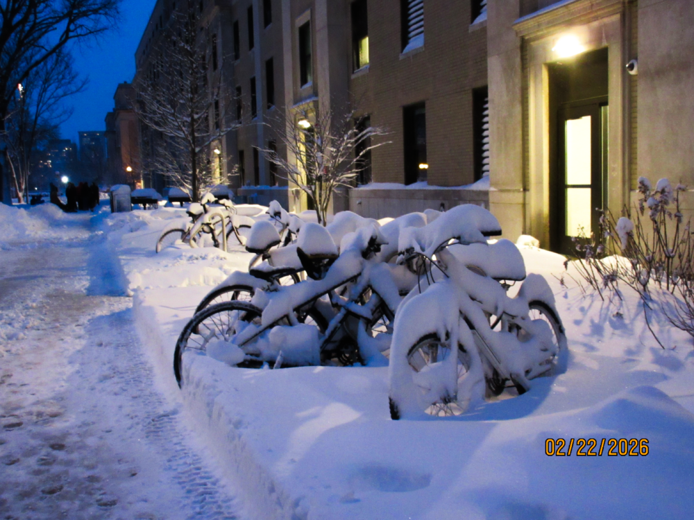bikes covered in snow