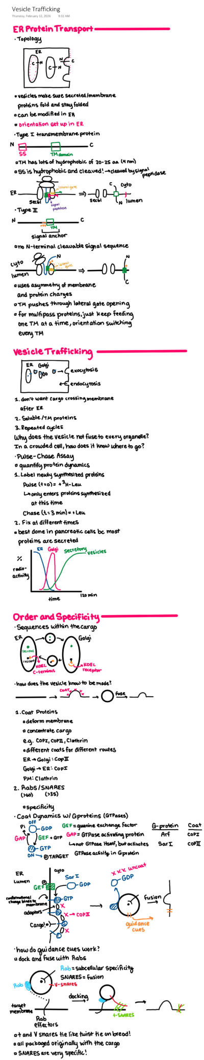 Written digital notes for a biology class, written in vibrant colors on a white background.