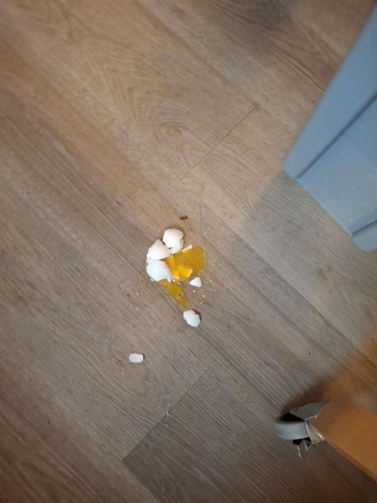 smashed egg on floor