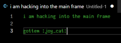 text reading "i am hacking into the main frame gottem :joy_cat:"