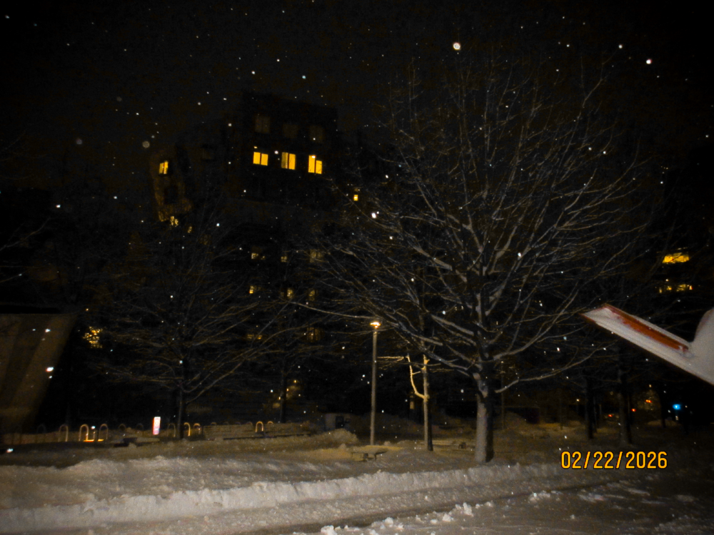 building in the dark with a tree in front