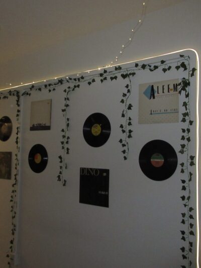 a wall with vinyls