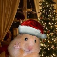 I Want A Radio Show!!!