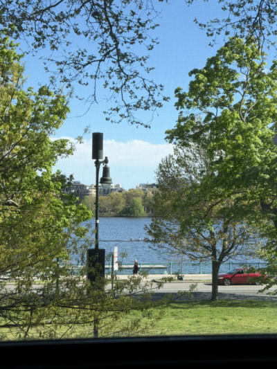 A view of the Charles River taken through a window screen. The bright blue water is visible between lush green trees. In the distance, a rowing crew can be seen in a long shell on the river. A red car is driving on the road (Memorial Drive) that runs alongside the riverbank. A black street lamp and a small sign are visible in the mid-ground.