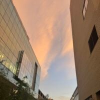 Image of the outfit during a pink sunset