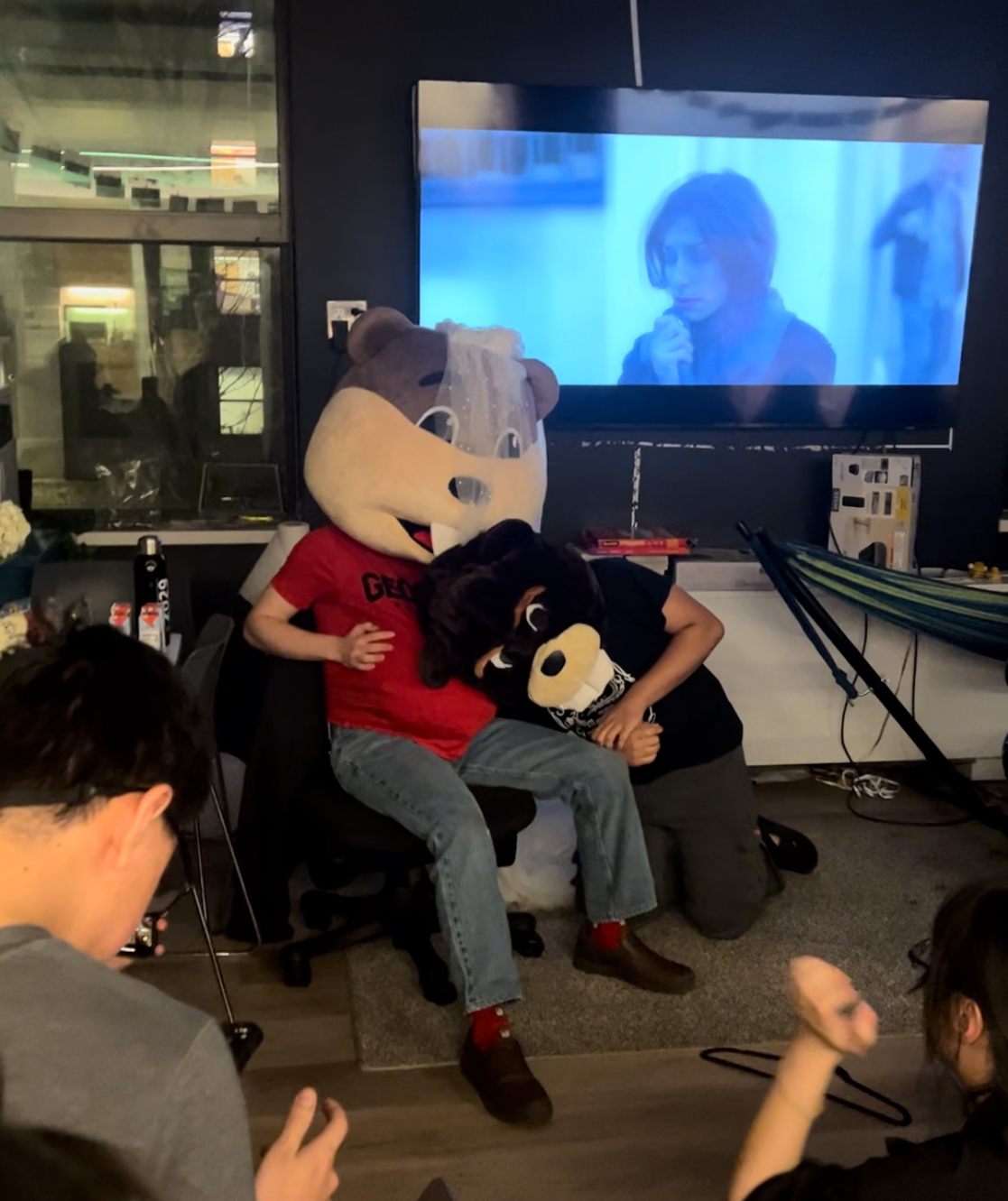 bernoulli gently caresses tim's stomach