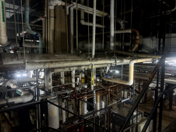 network of curving pipes near the ceiling of a basement against dark background
