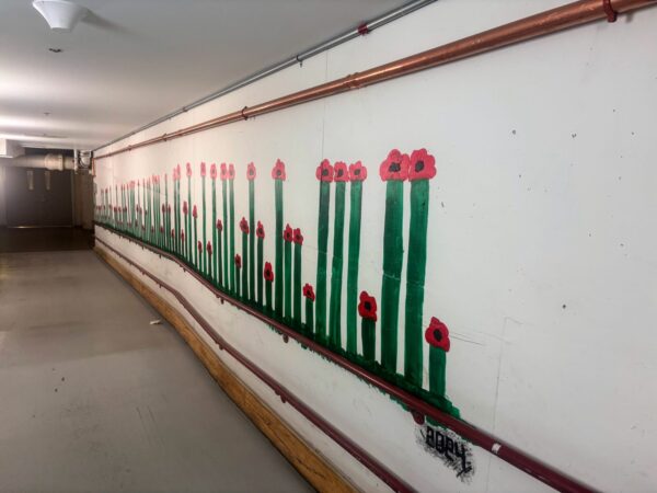 row of red poppies on green stems painted along a basement wall with varying heights