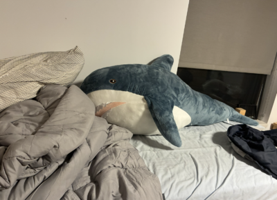 a four-foot long shark stuffed animal