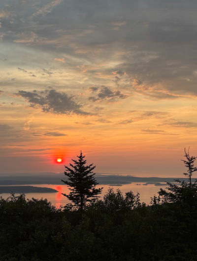 A bright pinkish-orange sunset with dark trees in the foreground