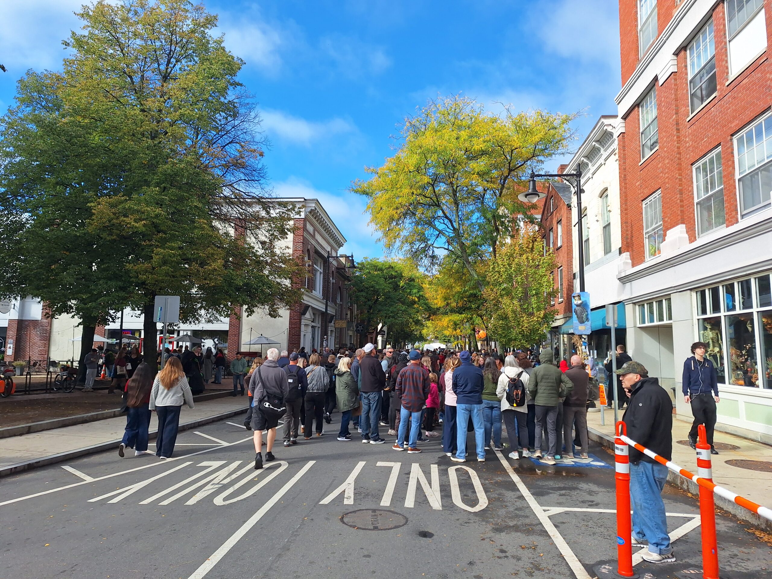 City street festival with a crowd of people, trees lining on the street, and shops&hellip;
