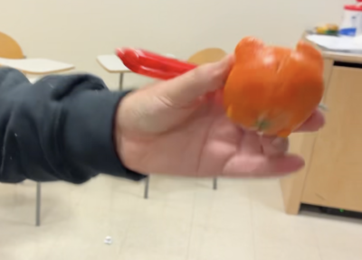cat made of tangerine